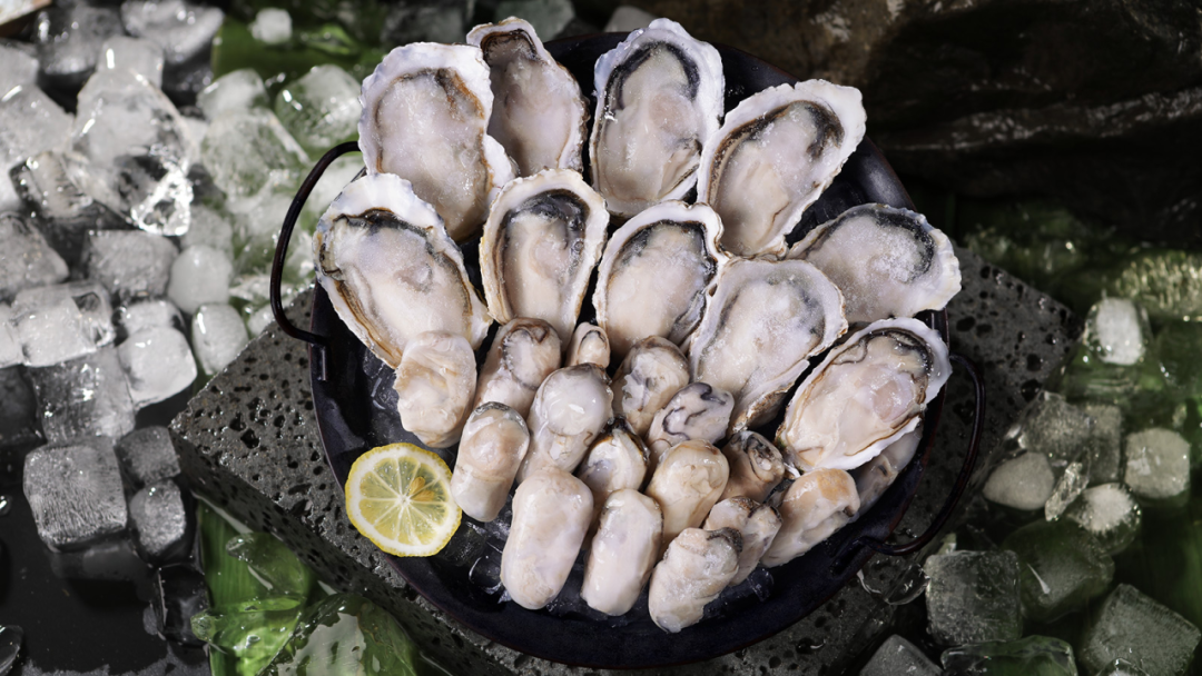 山東燈塔水母海洋科技有限公司